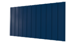 С10